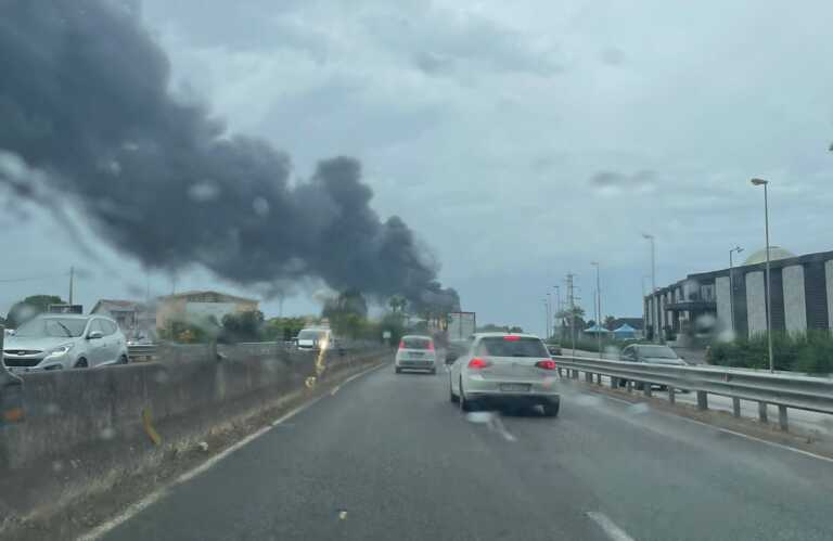 Corato, incendio in un’azienda ortofrutticola: paura per la vicinanza di un deposito di carburanti – VIDEO