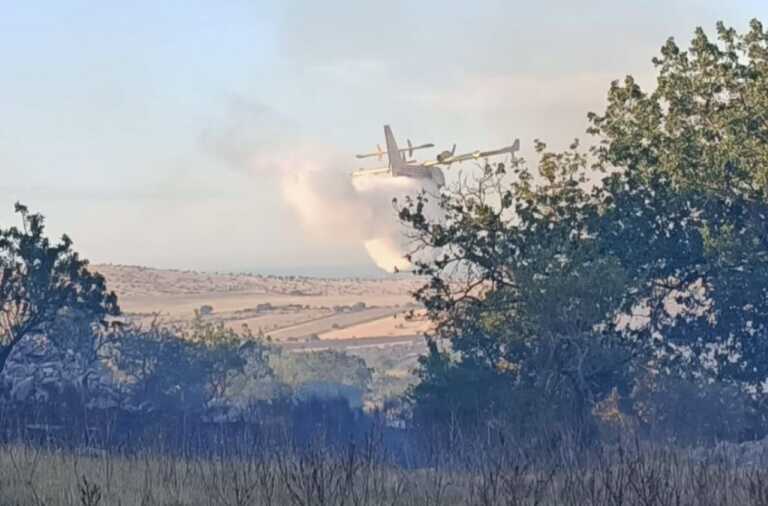 Minervino, fiamme nel Parco nazionale dell’Alta Murgia: distrutti 230 ettari. In azione un canadair