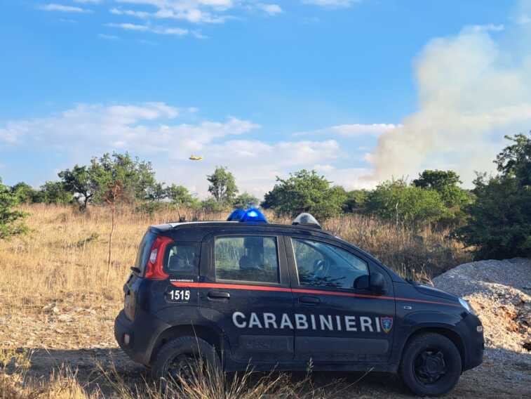 Galleria foto 'Minervino, fiamme nel Parco nazionale dell’Alta Murgia: distrutti 230 ettari. In azione un canadair' - foto 2