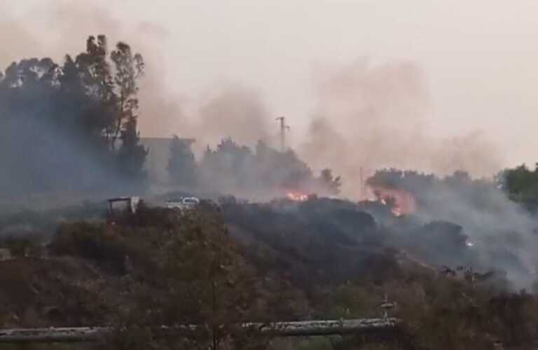 Incendio fra Rotondella e Nova Siri, l’agricoltore Corrado: «In fumo cinque ettari di grano» – VIDEO