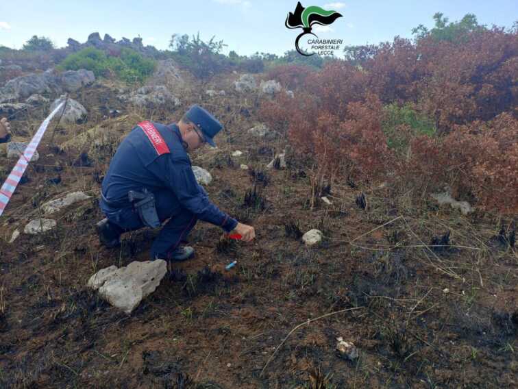 Santa Cesarea Terme, incendia le sterpaglie ma le fiamme si propagano: denunciato un 51enne