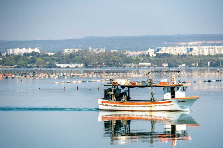 Taranto, levata di scudi per il Mar Piccolo: il “No” del Comune al parco fotovoltaico offshore