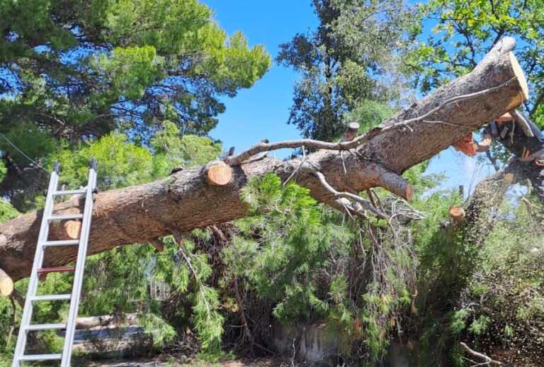 Vico del Gargano, dopo il nubifragio si ritorna alla normalità. Il sindaco: «Ora la conta dei danni»