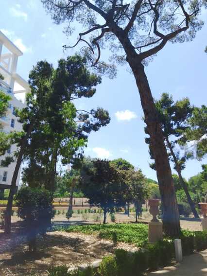 Bari accoglie un nuovo spazio verde, ecco il parco Bonomo in via Amendola – FOTO