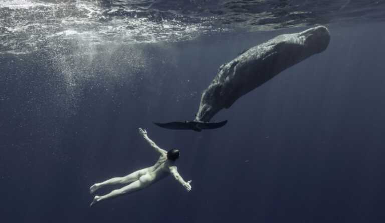 PhEst, torna a Monopoli il festival internazionale di arte e fotografia: mostre dal 30 agosto – FOTO