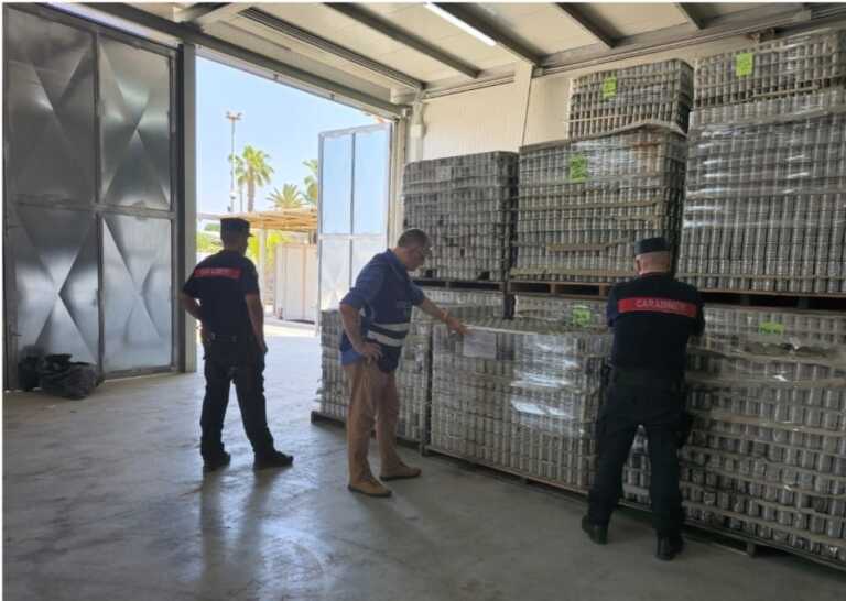 Cerignola, passata di pomodoro senza etichetta: sequestrati 176mila barattoli