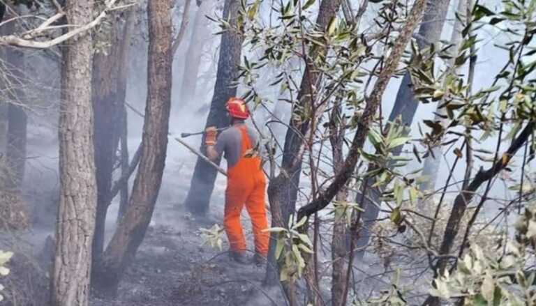 Fumo in carreggiata e cantieri, l’estate difficile sull’A14 tra Foggia e San Severo