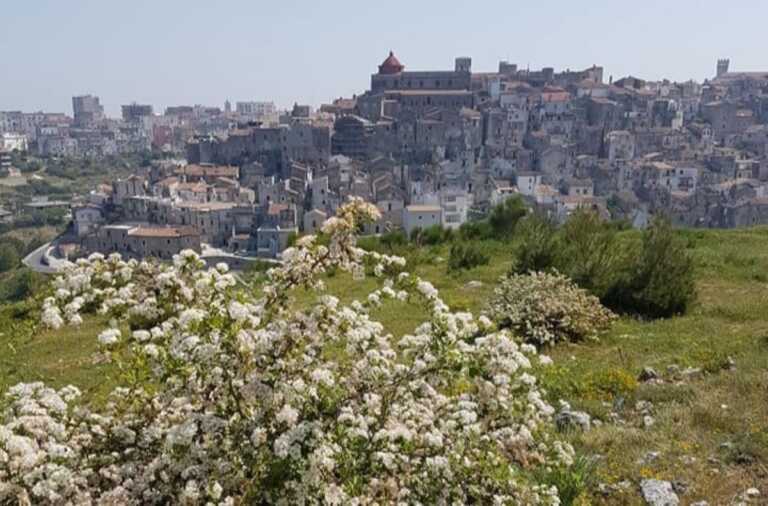 “Artstreet nel Borgo” a Vico del Gargano, piazze illuminate per il festival del food e degli artisti di strada
