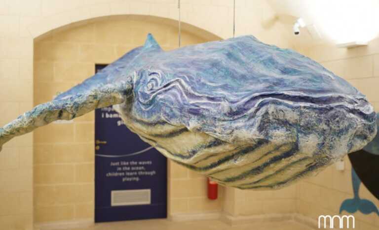 Matera, al Museo archeologico “Ridola” apre la mostra sulla balena Giuliana – FOTO