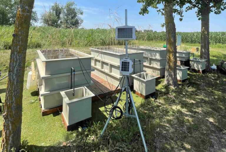 Biosensori, luminescenze e tecnologia per combattere la grande sete