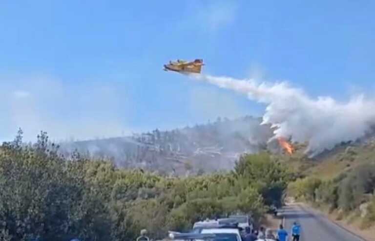 Vieste, vasto incendio a baia San Felice: evacuazione per 1200 turisti. Nobiletti: «Rogo doloso». In azione tre canadair – VIDEO