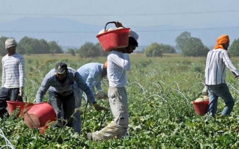 Matera, alla guida della Fai-Cisl c’è Raffaele Apetino: «Lotta dura al caporalato»