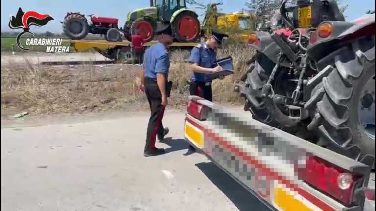 Perquisizioni in aziende agricole pugliesi e lucane: trovati mezzi rubati e una piantagione di marijuana – VIDEO