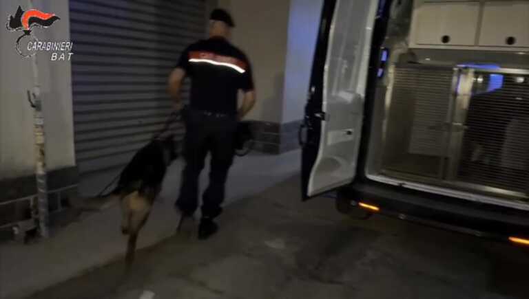 Fiumi di droga dalla Spagna alla Bat, scacco ai narcotrafficanti: 47 misure cautelari – VIDEO