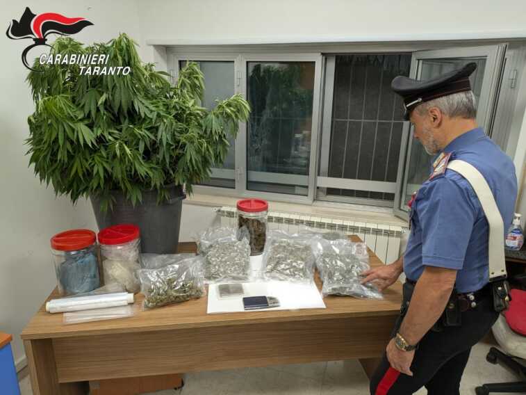 Nell’orto coltiva marijuana: arrestato un 50enne a Martina Franca. Sequestrati 2,5 chili di droga