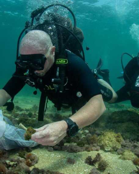 Galleria foto 'Torre a Mare, i sommozzatori della polizia di stato impegnati nella giornata “Fondali puliti” – FOTO' - foto 3