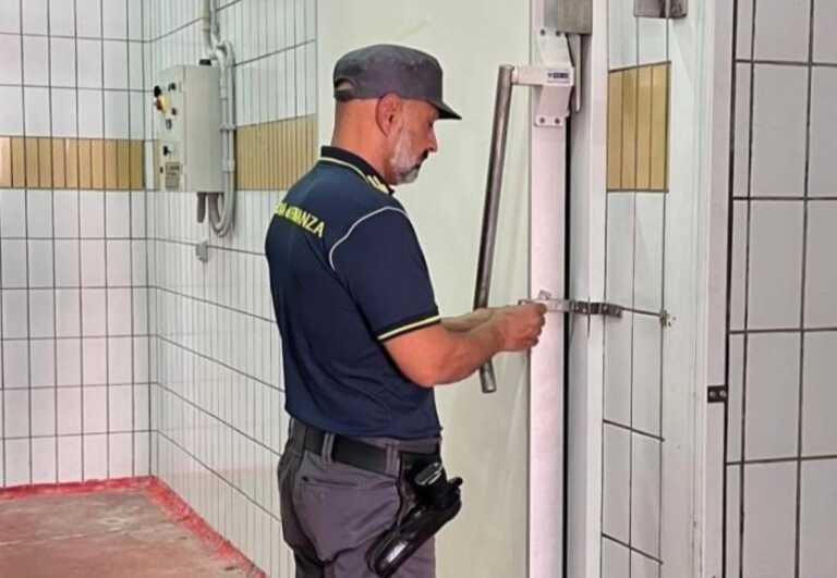 Cavalli da Spagna e Polonia macellati clandestinamente nel Salento: quattro denunce