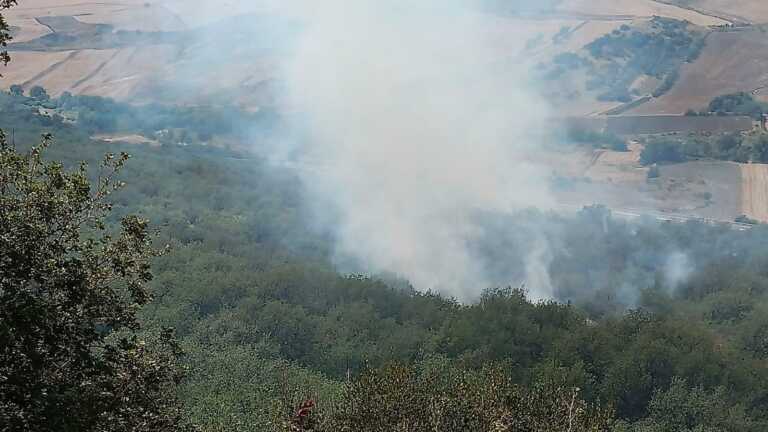 Incendi sui Monti Dauni: distrutti diversi ettari in aree boschive. Interviene un canadair – VIDEO