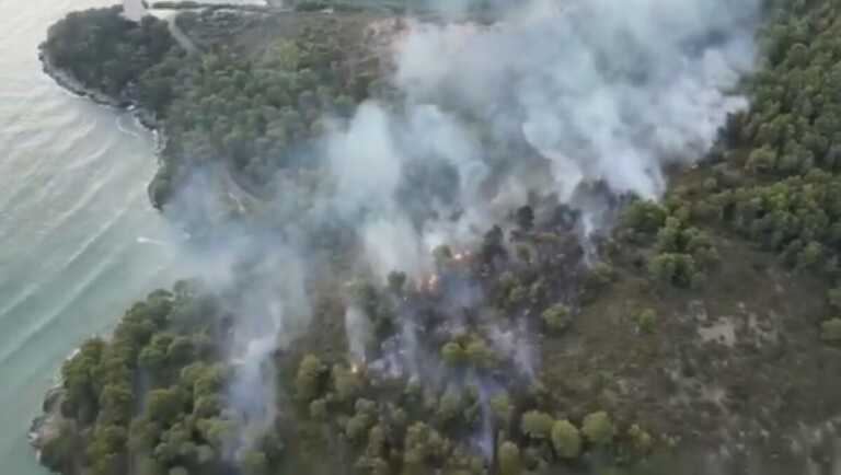 Incendio a Vieste, in fumo almeno 70 ettari di bosco: emergenza finita, ora si lavora alle ultime bonifiche