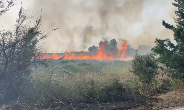 Allarme incendi in Puglia: da gennaio a luglio in fumo più di 2.200 ettari