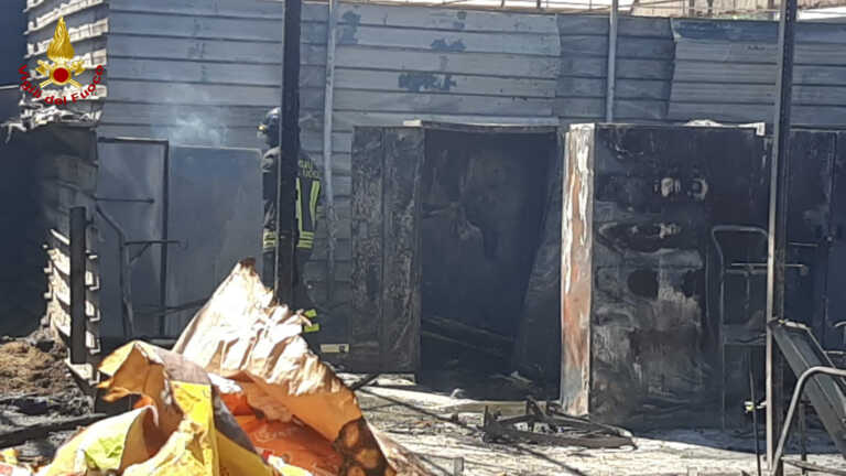 Galleria foto 'Fiamme in un centro ippico a Bitritto: intervengono i vigili del fuoco. Nessun ferito' - foto 2