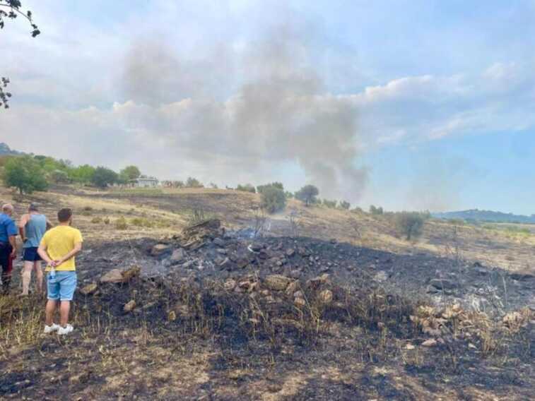 Incendio nel Materano, a fuoco due ettari di vegetazione nel Parco di Gallipoli Cognato: una denuncia