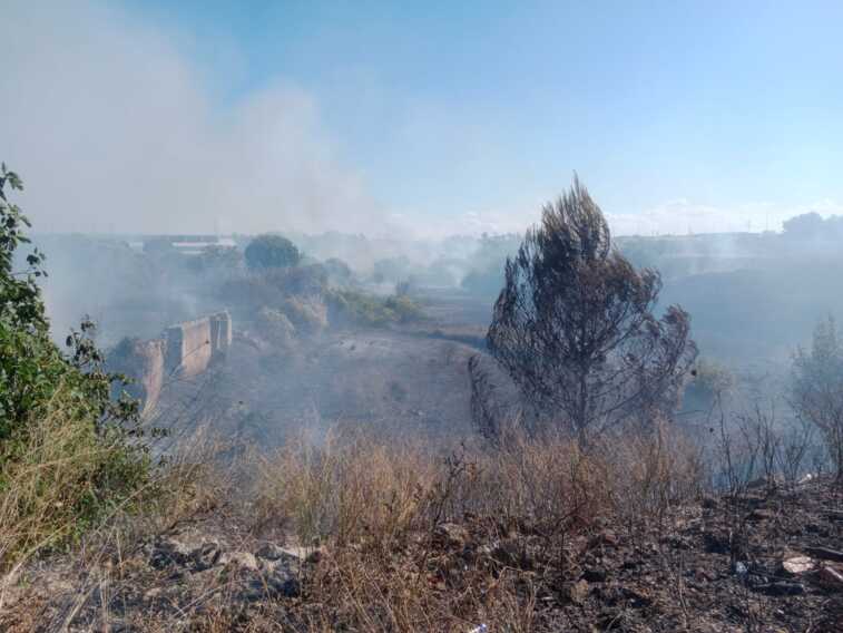 Bari, vasto incendio al quartiere San Paolo: le fiamme a pochi metri da un distributore di benzina – VIDEO