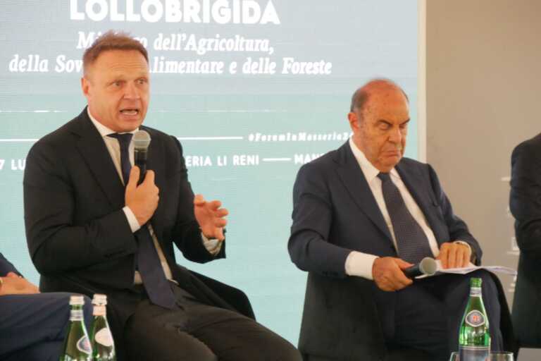 Xylella, Lollobrigida: «Irresponsabile chiamarla emergenza. Risorse per riconversione o ulivi resistenti»