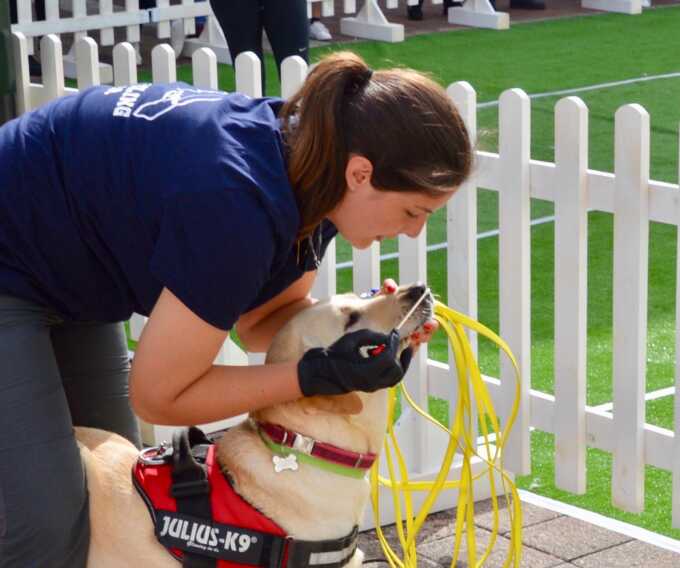 Tra sport e solidarietà, il “Mantrailing” e le sue origini: l’importanza del binomio uomo-cane