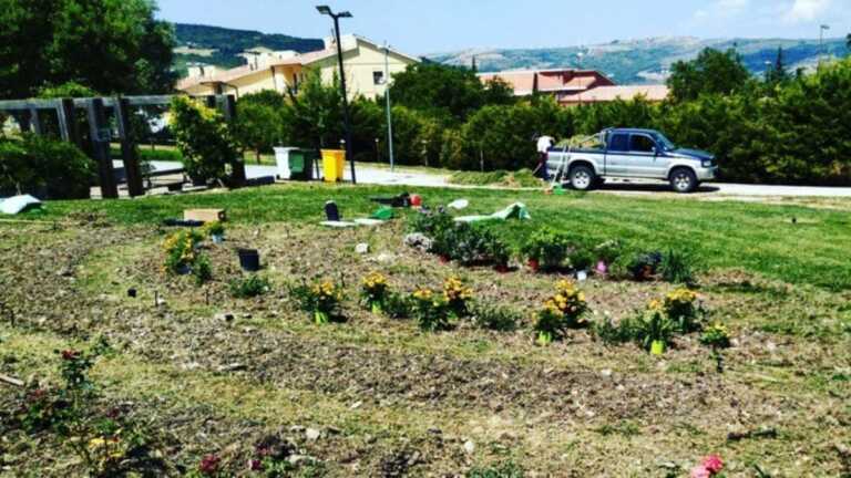 Galleria foto 'Orsara di Puglia, la storia di Carmela: «Il lavoro a contatto con la terra mi ha salvata dalla depressione»' - foto 1