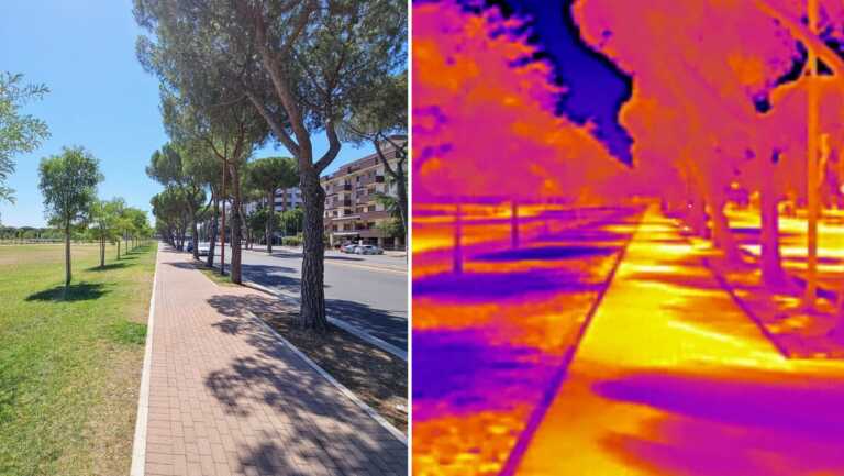 Galleria foto 'Foggia, una città che non ama il verde. Marrese (Wwf): «Più alberi contro le alte temperature»' - foto 1
