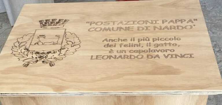 Galleria foto 'Colonie feline, arrivano le “postazioni pappa” a Nardò: stop a sporcizia e scarso decoro – FOTO' - foto 3