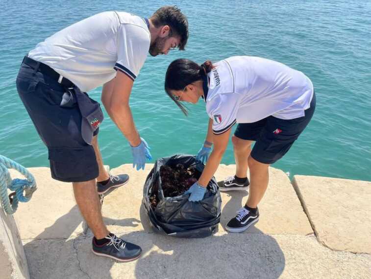 Barletta, ambulante vende ricci di mare nei pressi del porto: multa da 1.500 euro