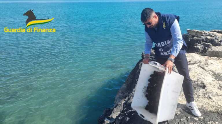 Manfredonia, multati due pescatori di frodo: avevano raccolto oltre 1.500 ricci di mare
