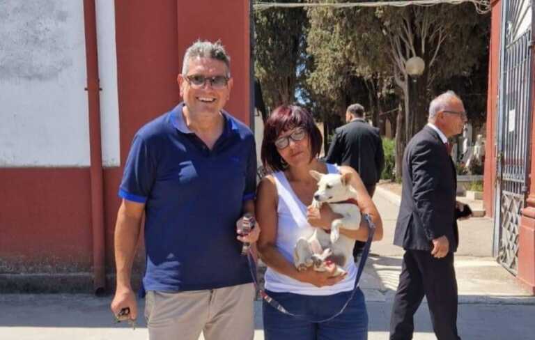 Cucciolo abbandonato a Stornara, il sindaco lo adotta: «Ora Simmi è parte della famiglia»