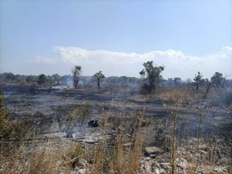 Bitritto in fiamme, rogo di vaste dimensioni in zona Parco Vecchio – VIDEO