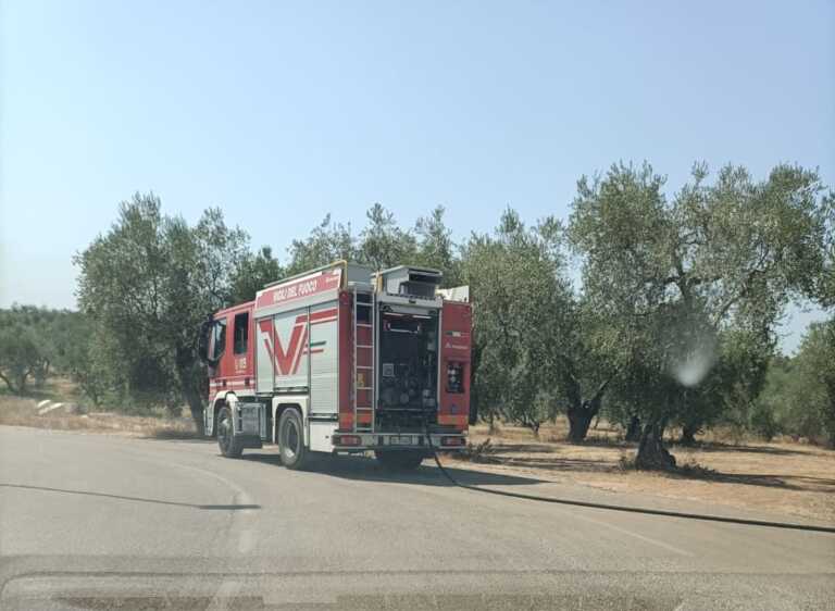Galleria foto 'Bitritto in fiamme, rogo di vaste dimensioni in zona Parco Vecchio – VIDEO' - foto 1