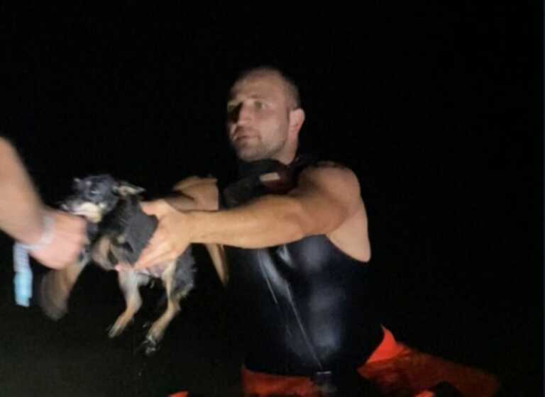 San Girolamo, cagnolino spaventato dai botti finisce in mare: salvato dai vigili del fuoco