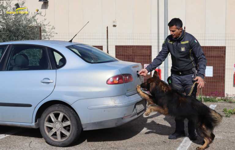 Fagot e Bessy fiutano la droga: 22 persone nei guai nel Tarantino