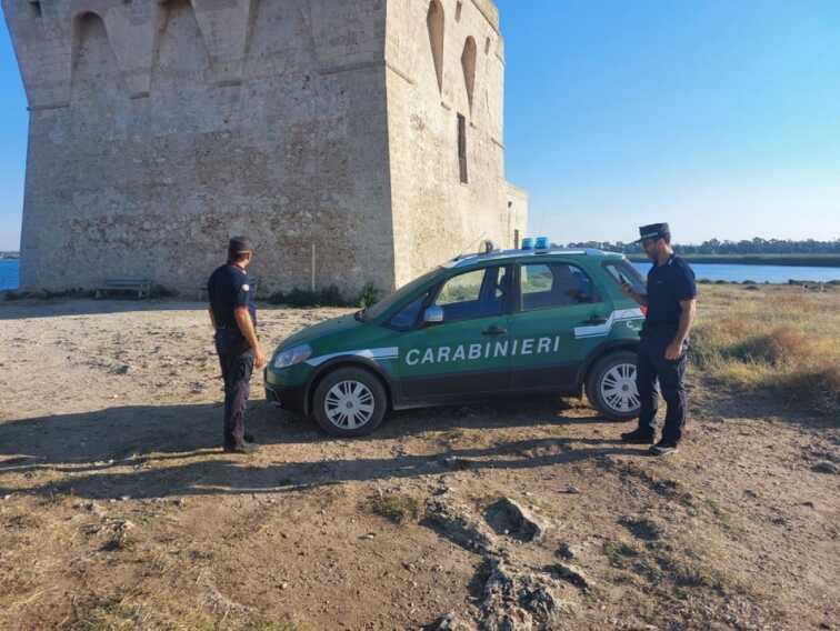 Lavori in un terreno a Torre Guaceto senza i permessi: 3 denunce, sequestrata l’area