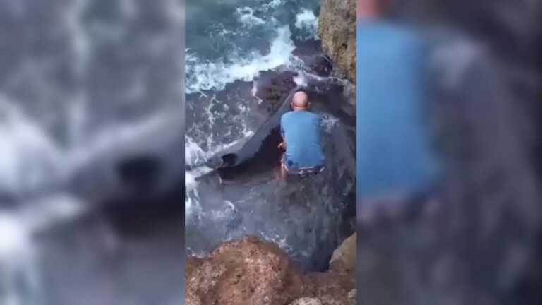 Delfino in difficoltà a Cozze: un bagnante si tuffa e lo aiuta a riprendere il largo – VIDEO