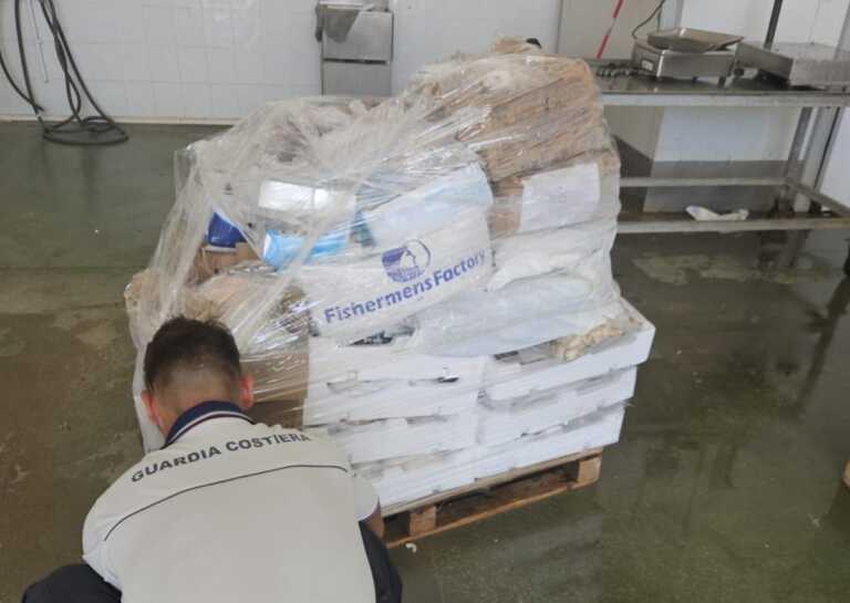 Lesina, pesce scaduto in un deposito: sequestrati 400 chili di prodotto ittico