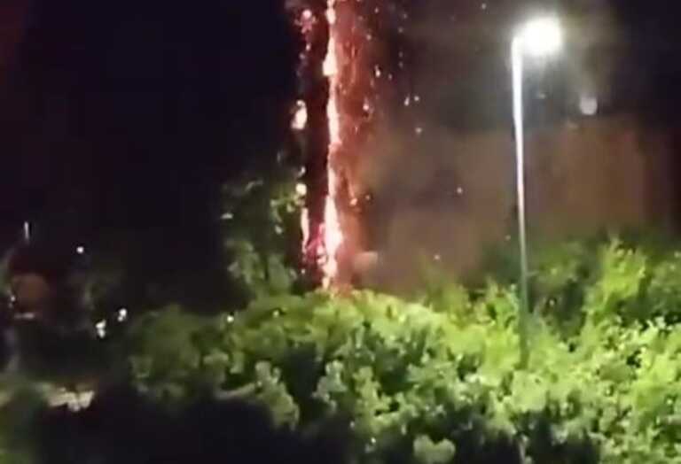 Maltempo: a Nardò un fulmine colpisce una palma. Trombe d’aria in diverse località – VIDEO