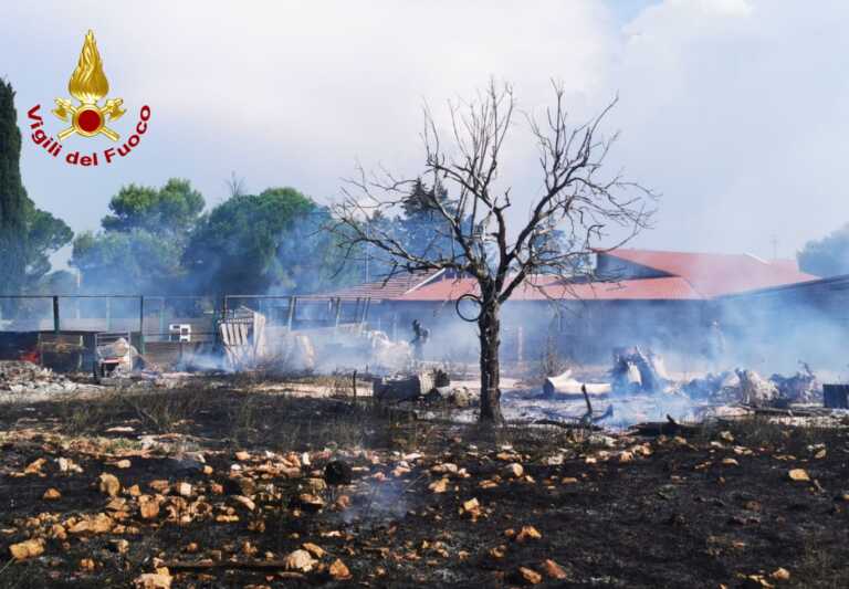 Cassano, incendio a pochi metri dalla foresta Mercadante: fiamme in un ranch
