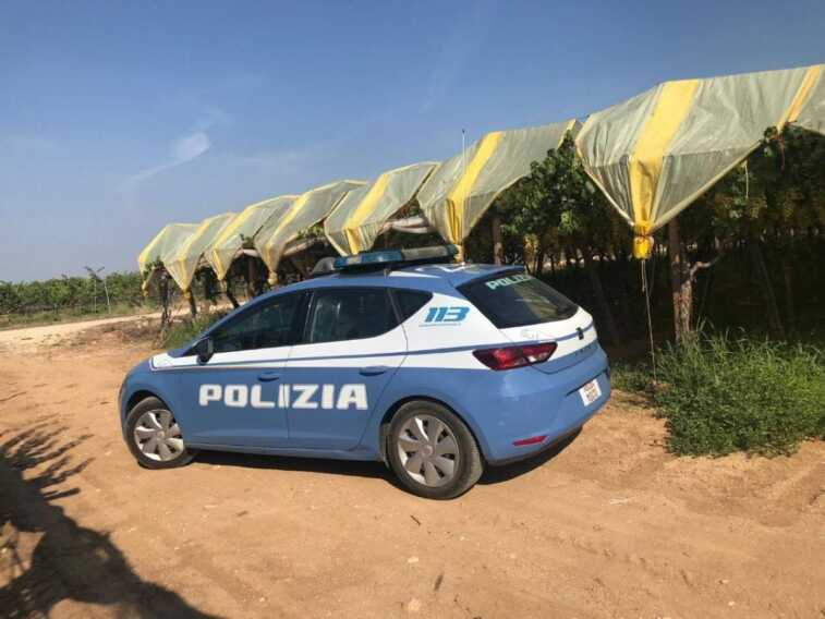 Ruba 150 chili di uva in un vigneto: 47enne di Sava incastrato dalle telecamere