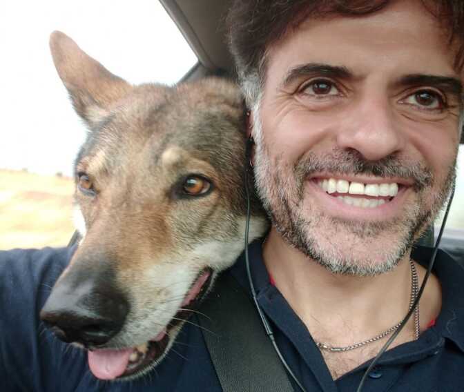 Barletta, cane lupo e padrone aggrediti da un pitbull senza guinzaglio in pieno centro