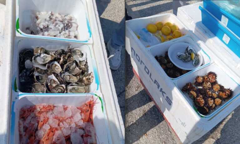 Bari, sequestro di pesce fresco al Molo San Nicola: venditore rischia il Daspo