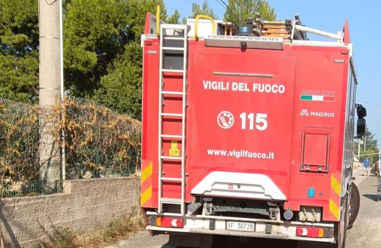 Tragedia a Bisceglie: cestello elevatore tocca i cavi elettrici, muore un potatore