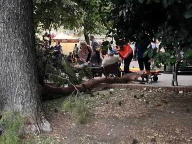 Tragedia a Manfredonia, ramo cade su una panchina: 2 settimane dopo muore 82enne