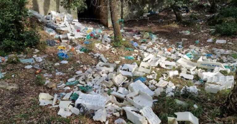 Rifiuti nelle campagne pugliesi, Perrini: «Servono più risorse per la pulizia delle strade» – FOTO